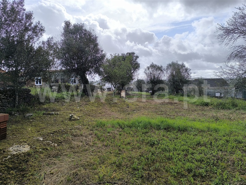 Terreno para Construção / Ourém, Caneiro - View 6