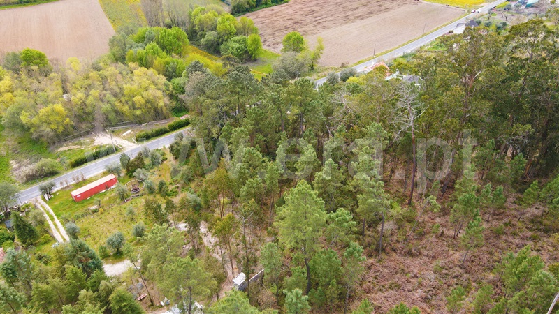 Terreno para Construção  Ourém, Caxarias - 1239208 - 3