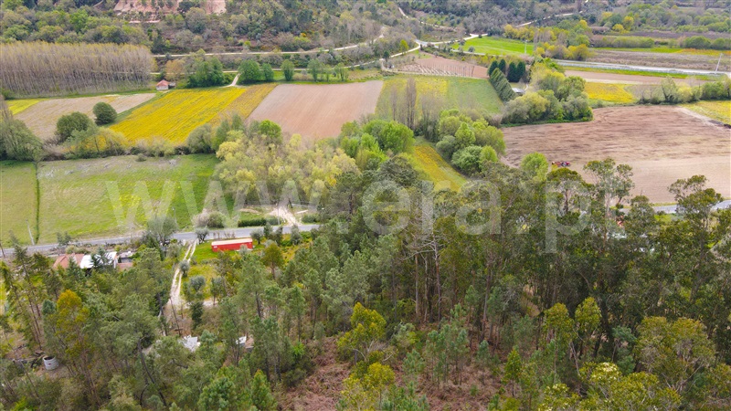 Terreno para Construção  Ourém, Caxarias - 1239208 - 4