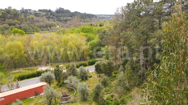 Terreno para Construção  Ourém, Caxarias - 1239208 - 6