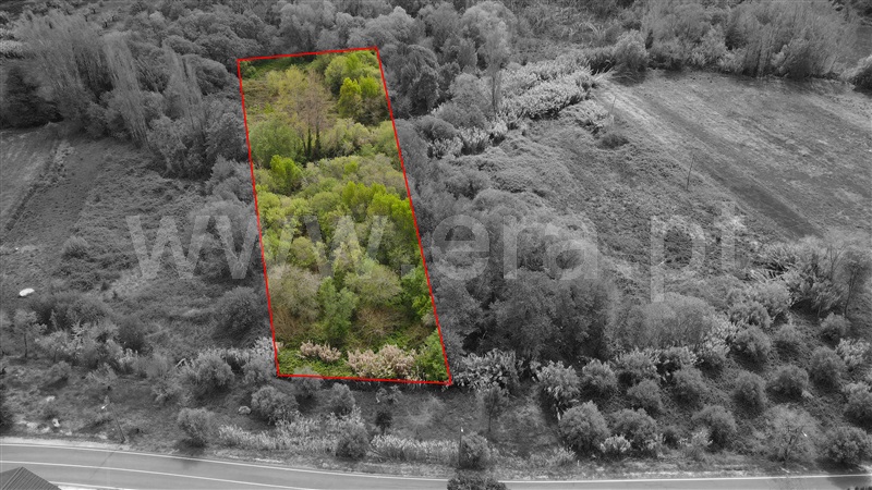 Terreno para Construção  Ourém, Caxarias - 1239208 - 8