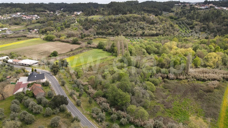 Terreno para Construção  Ourém, Caxarias - 1239208 - 9