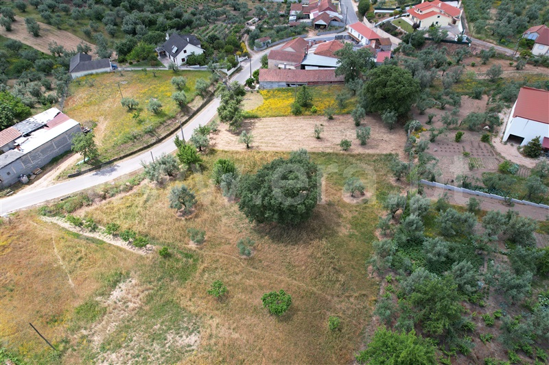 Terreno para Construção  Ourém, Caxarias - 1249695 - 4