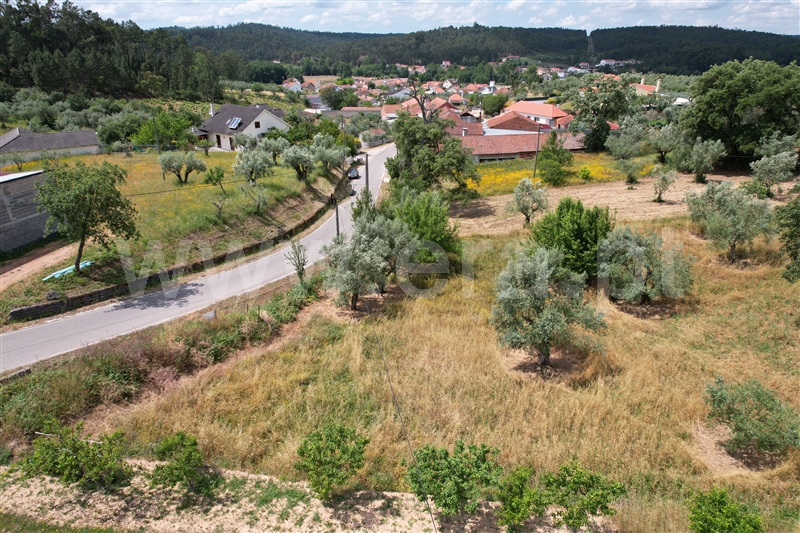 Terreno para Construção  Ourém, Caxarias - 1249695 - 6