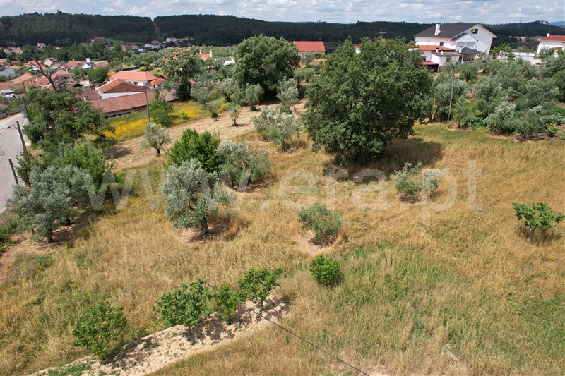Terreno para Construção  Ourém, Caxarias - 1249695 - 8