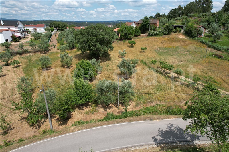 Terreno para Construção  Ourém, Caxarias - 1249695 - 9