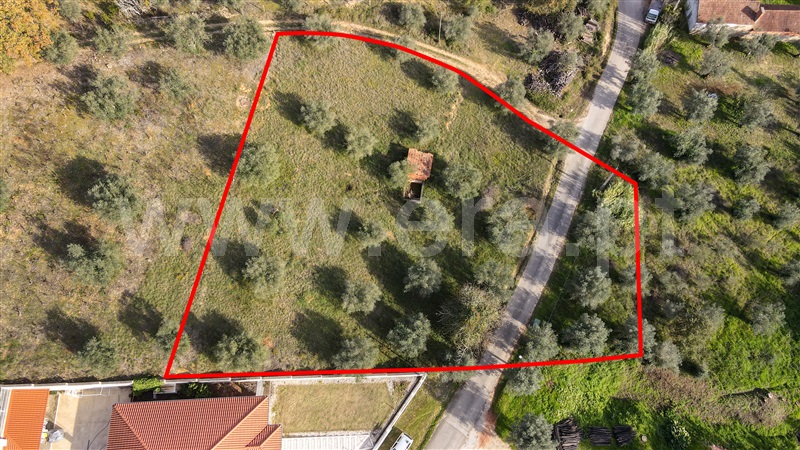 Terreno para Construção  Ourém, Caxarias - 1290735 - 8