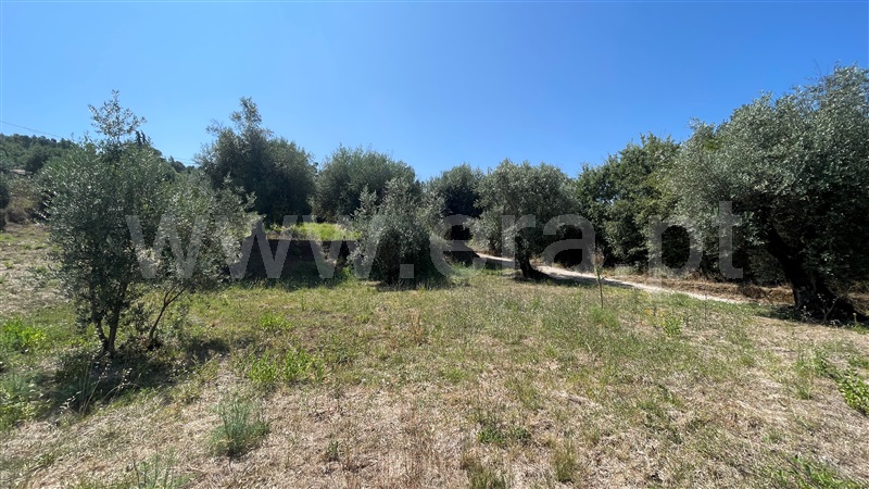 Terreno para Construção  Ourém, Caxarias - 1345270 - 14