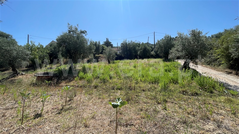 Terreno para Construção  Ourém, Caxarias - 1345270 - 15