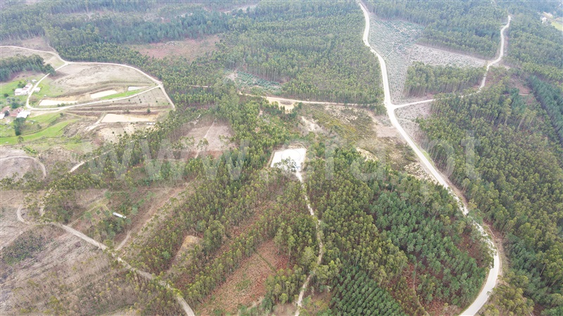 Terreno para Construção  Ourém, Caxarias - 1379903 - 6