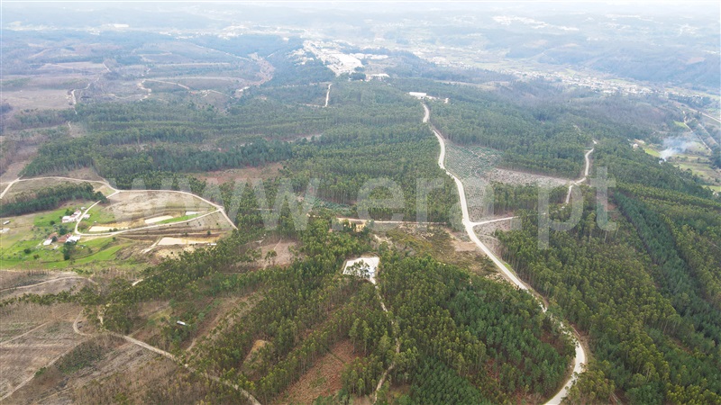 Terreno para Construção  Ourém, Caxarias - 1379903 - 7