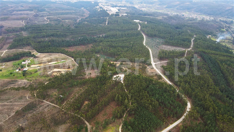 Terreno para Construção  Ourém, Caxarias - 1379903 - 8