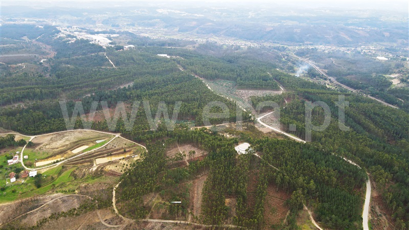 Terreno para Construção  Ourém, Caxarias - 1379903 - 9