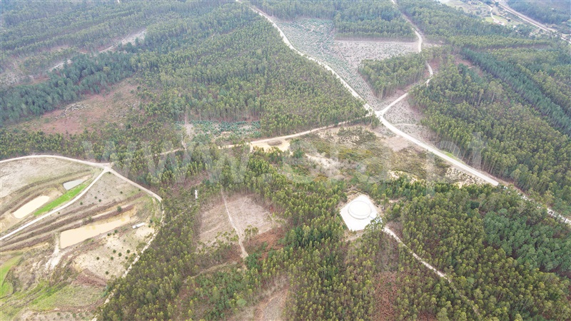 Terreno para Construção  Ourém, Caxarias - 1379903 - 11