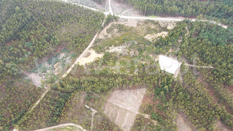 Terreno para Construção  Ourém, Caxarias - 1379903 - 13
