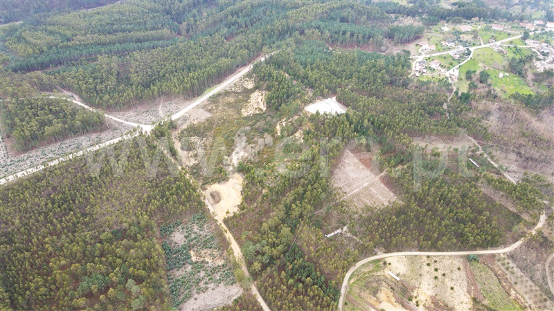 Terreno para Construção  Ourém, Caxarias - 1379903 - 14