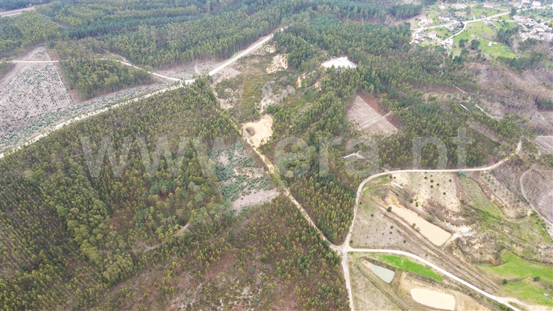 Terreno para Construção  Ourém, Caxarias - 1379903 - 15