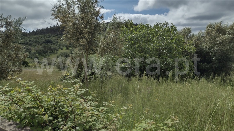 Terreno para Construção  Ourém, Espite - 1174690 - 3