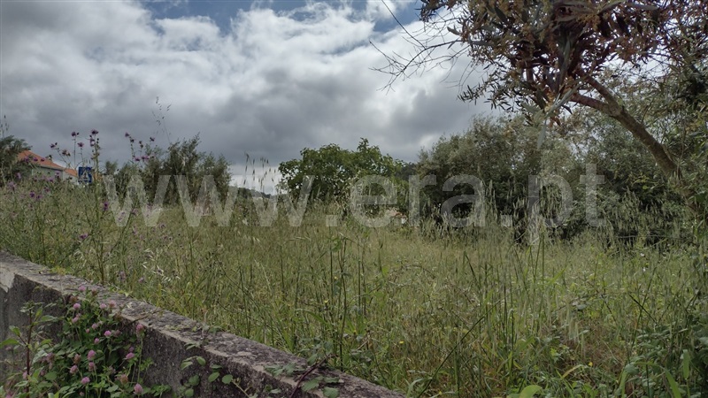 Terreno para Construção  Ourém, Espite - 1174690 - 4