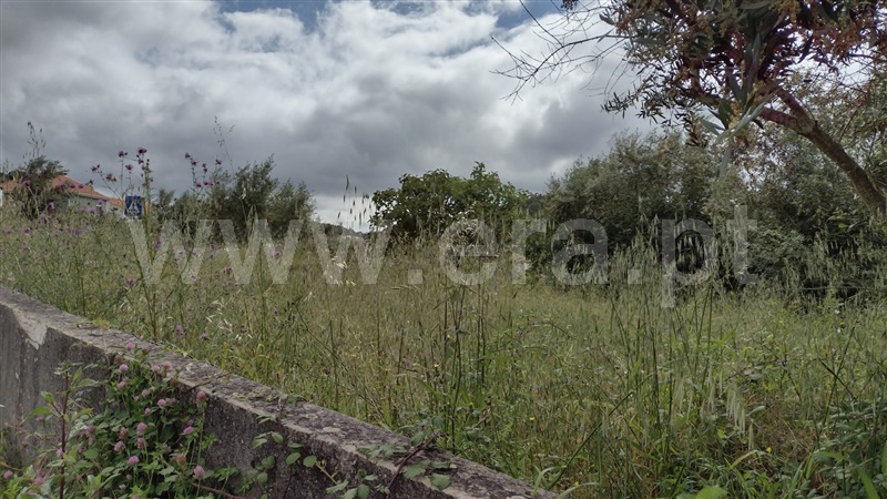 Terreno para Construção  Ourém, Espite - 1174690 - 7