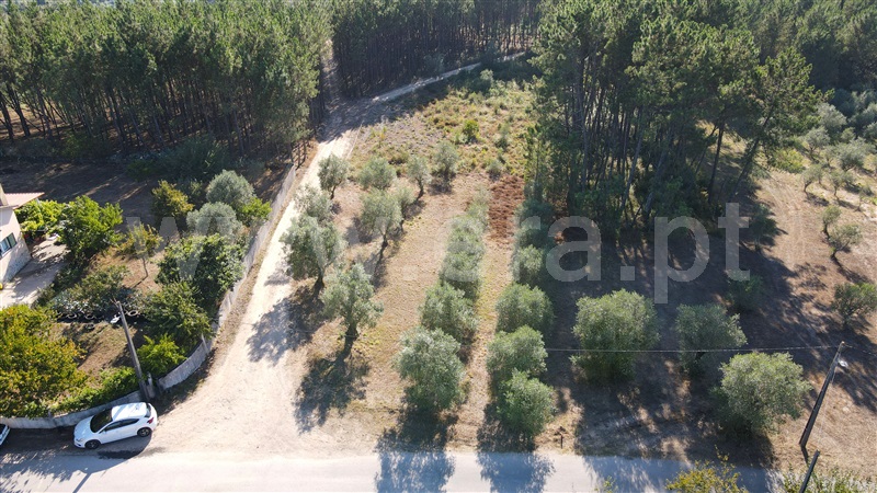 Terreno para Construção / Ourém, Espite