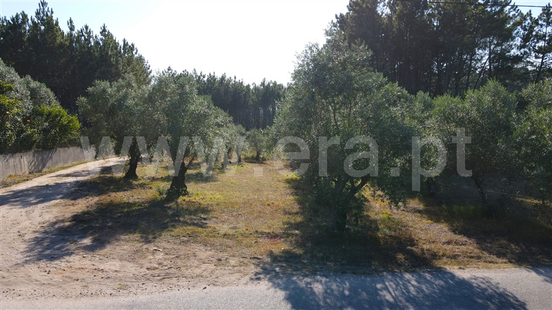 Terreno para Construção  Ourém, Espite - 1202816 - 5
