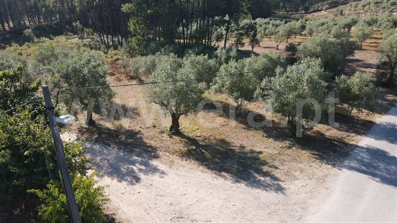 Terreno para Construção  Ourém, Espite - 1202816 - 7