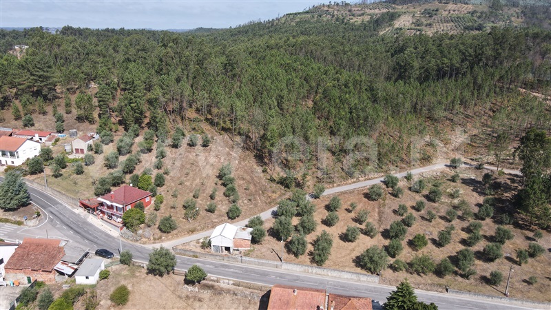 Terreno para Construção  Ourém, Espite - 1434094 - 7