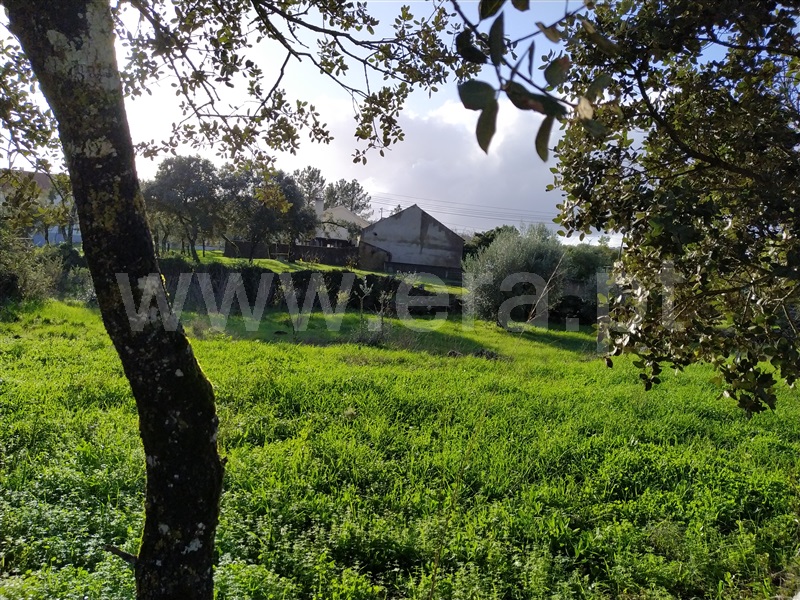 Terreno para Construção  Ourém, Fátima - 1131451 - 3