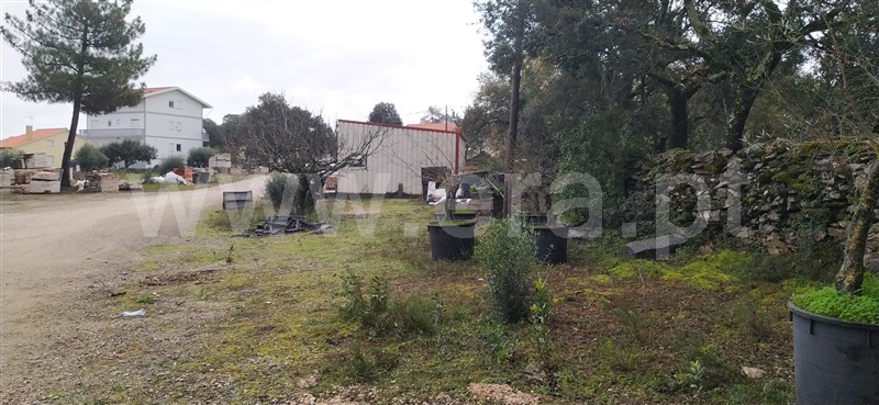 Terreno para Construção  Ourém, Fátima - 1138094 - 2