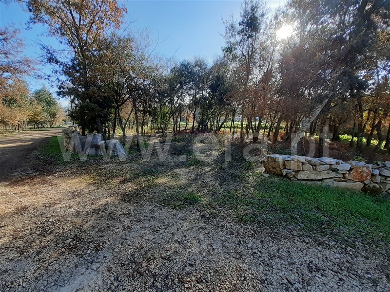 Terreno para Construção / Ourém, Fátima