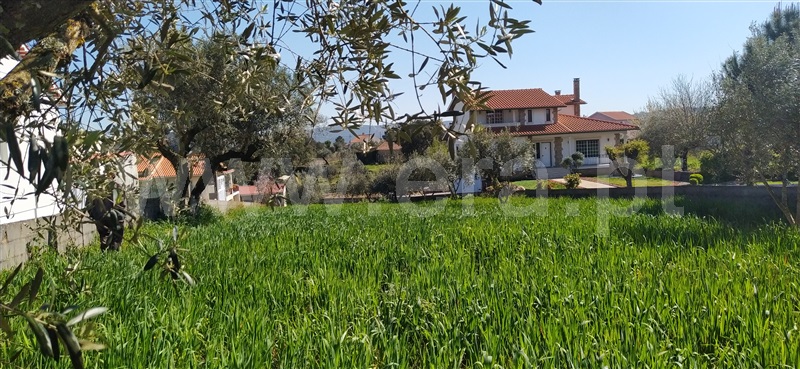 Terreno para Construção  Ourém, Fátima - 1159561 - 2