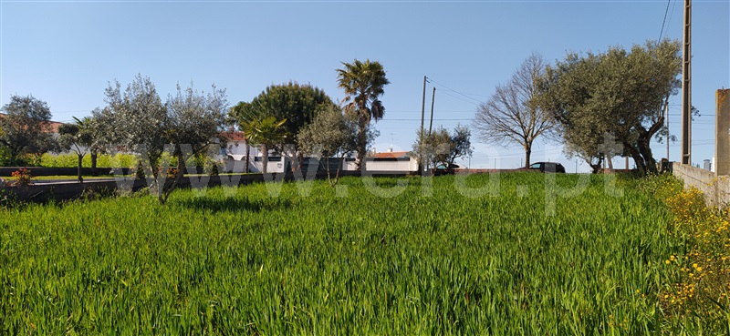 Terreno para Construção / Ourém, Fátima