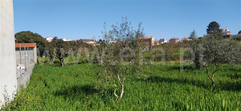 Terreno para Construção  Ourém, Fátima - 1159561 - 5