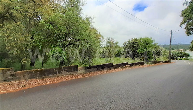 Terreno para Construção  Ourém, Fátima - 1159803 - 7