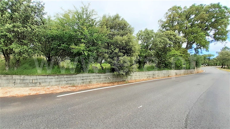 Terreno para Construção  Ourém, Fátima - 1159803 - 4