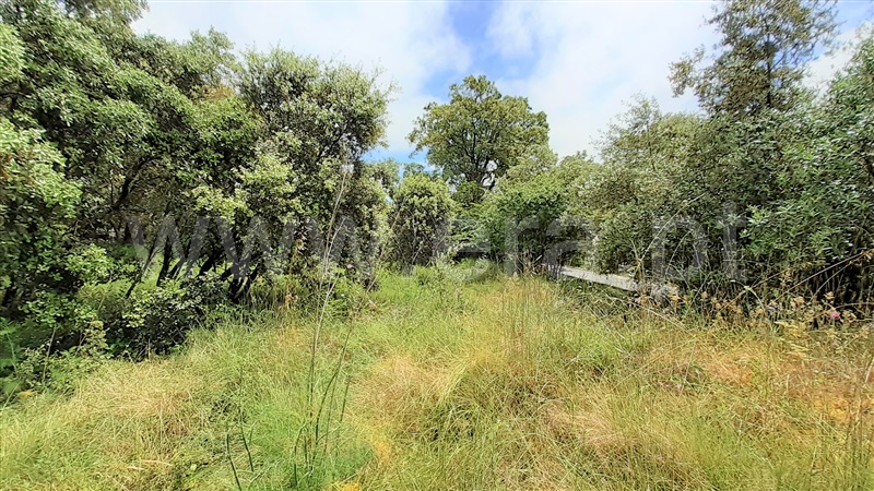 Terreno para Construção  Ourém, Fátima - 1159803 - 5
