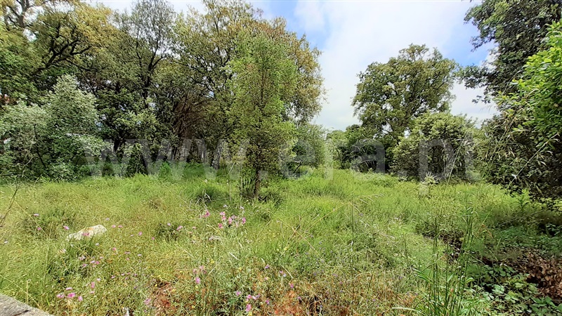 Terreno para Construção  Ourém, Fátima - 1159803 - 6