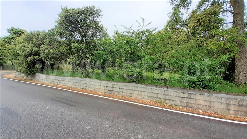 Terreno para Construção  Ourém, Fátima - 1159803 - 8