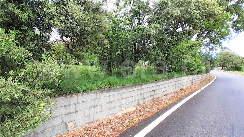 Terreno para Construção  Ourém, Fátima - 1159803 - 9