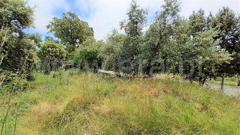 Terreno para Construção  Ourém, Fátima - 1159803 - 10
