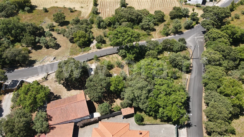 Terreno para Construção  Ourém, Fátima - 1159803 - 3