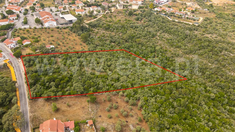 Terreno para Construção  Ourém, Fátima - 1331501 - 3