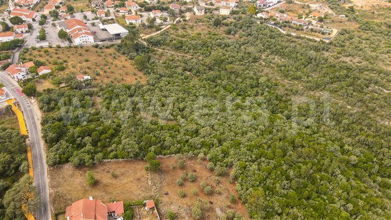 Terreno para Construção  Ourém, Fátima - 1331501 - 4