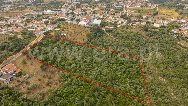 Terreno para Construção  Ourém, Fátima - 1331501 - 5