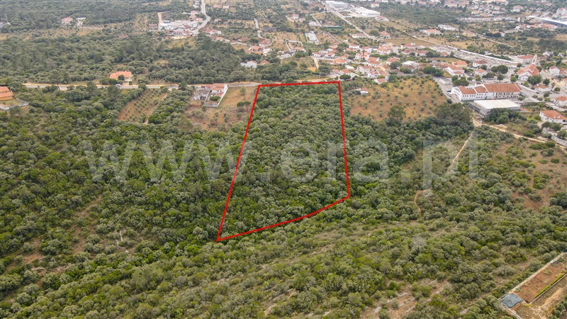 Terreno para Construção  Ourém, Fátima - 1331501 - 8