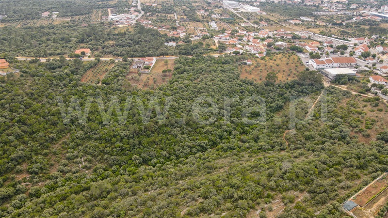 Terreno para Construção  Ourém, Fátima - 1331501 - 10
