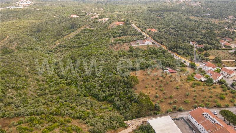 Terreno para Construção  Ourém, Fátima - 1331501 - 14