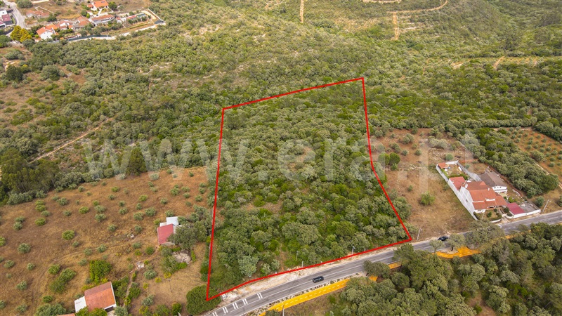 Terreno para Construção  Ourém, Fátima - 1331501 - 19