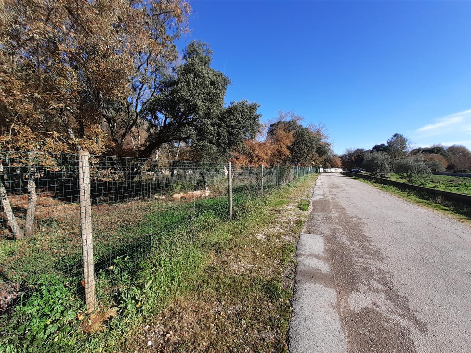 Terreno em Ourém